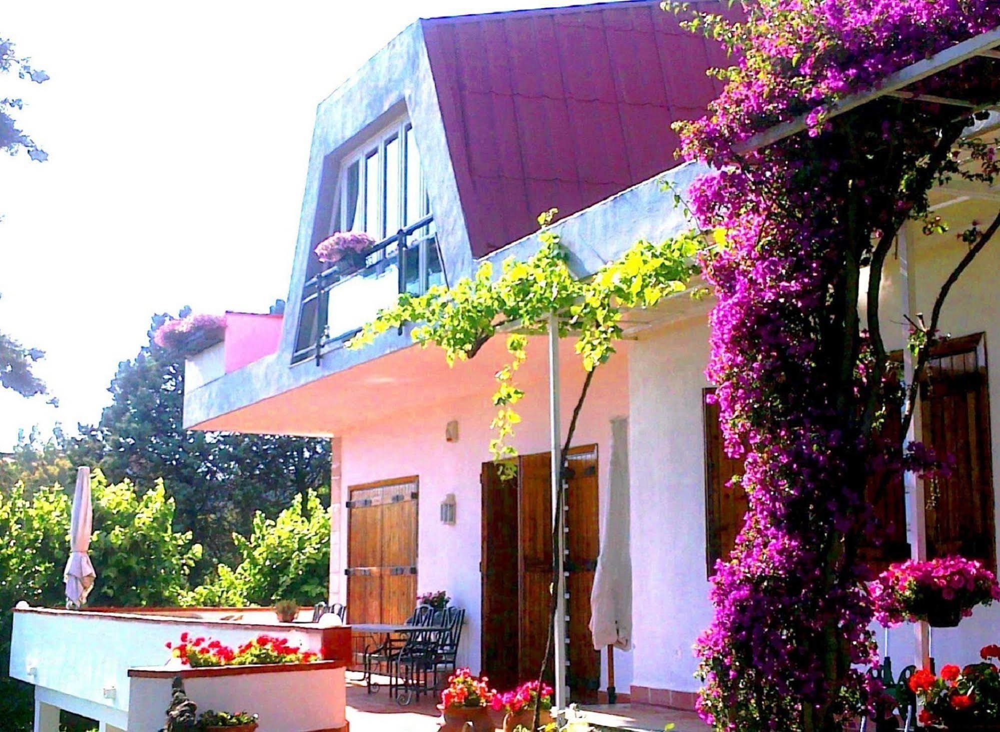 Aloisio Bed and Breakfast San Gregorio di Catania